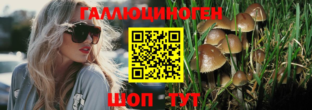 как найти   Псилоцибиновые грибы мухоморы  Вход с VPN  Саратов 