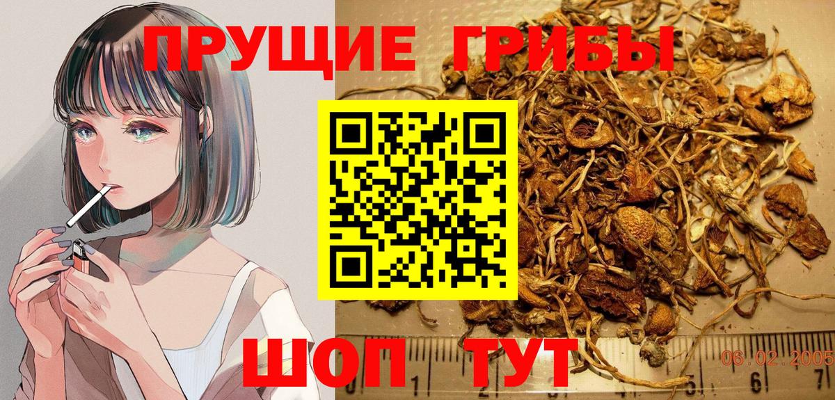 Псилоцибиновые грибы прущие грибы Саратов